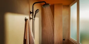 handheld showerheads can help a senior to be more independent in the shower