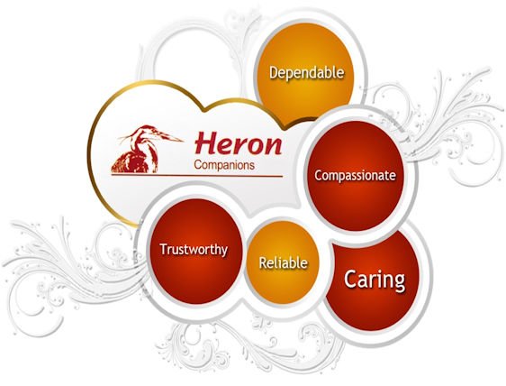 heron companions