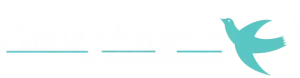 Visiting Angels, Sarasota, FL